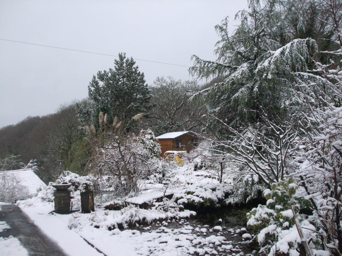 Cwmbach Guest House Neath Extérieur photo