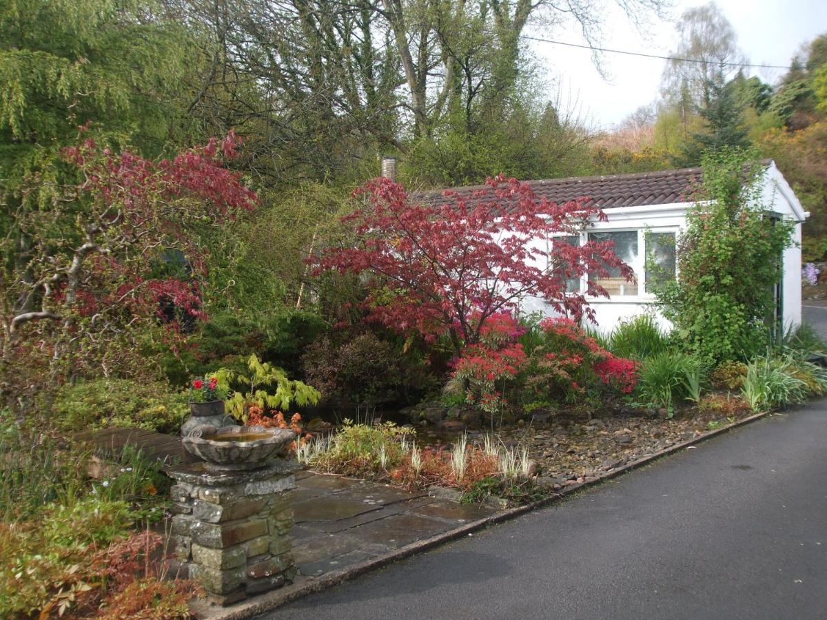 Cwmbach Guest House Neath Extérieur photo