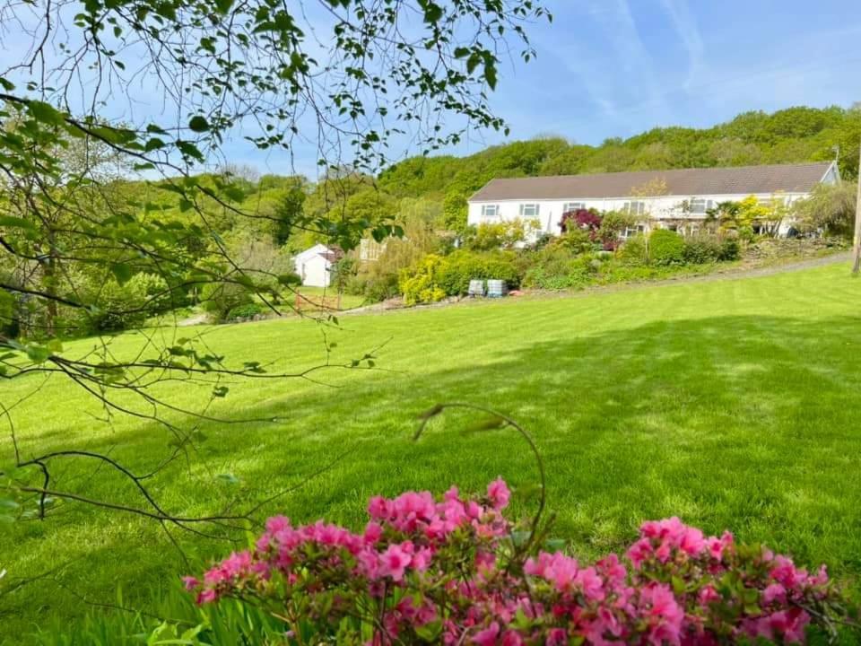 Cwmbach Guest House Neath Chambre photo