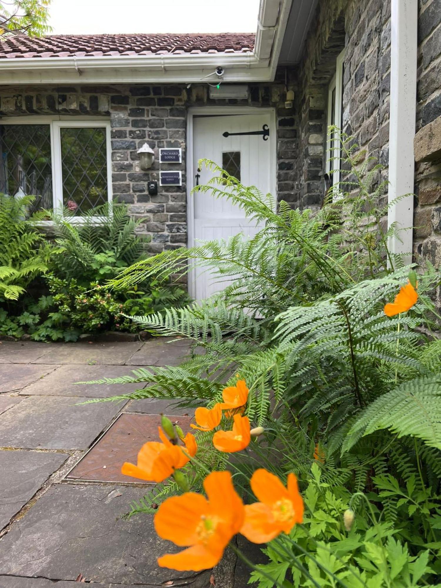 Cwmbach Guest House Neath Extérieur photo