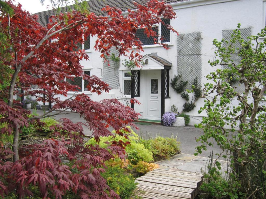 Cwmbach Guest House Neath Extérieur photo