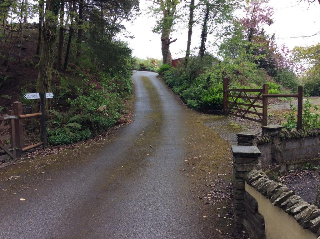 Cwmbach Guest House Neath Extérieur photo